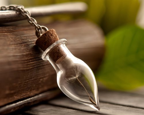 Dandelion necklace - This beautiful dandelion necklace, encases a single seed within the glass holder and can be made with silver plated or brass chain