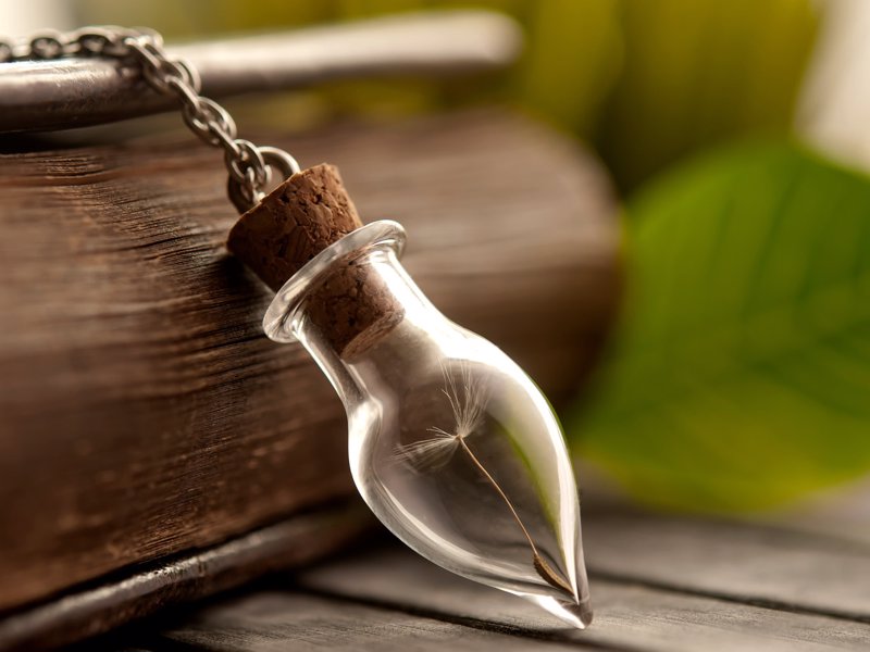 Dandelion necklace - This beautiful dandelion necklace, encases a single seed within the glass holder and can be made with silver plated or brass chain